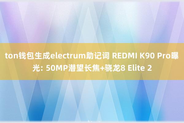 ton钱包生成electrum助记词 REDMI K90 Pro曝光: 50MP潜望长焦+骁龙8 Elite 2