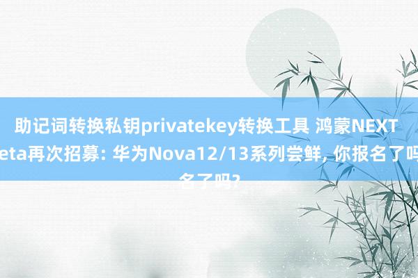 助记词转换私钥privatekey转换工具 鸿蒙NEXT Beta再次招募: 华为Nova12/13系列尝鲜, 你报名了吗?