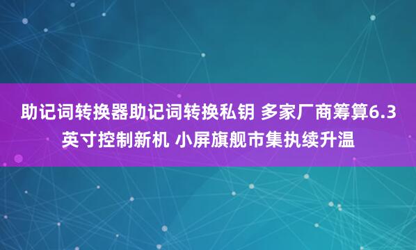 助记词转换器助记词转换私钥 多家厂商筹算6.3英寸控制新机 小屏旗舰市集执续升温